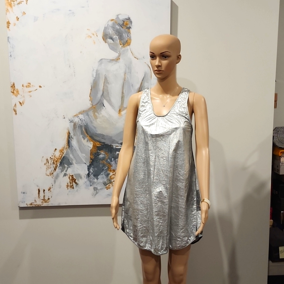 Pipit Silver Front Dress